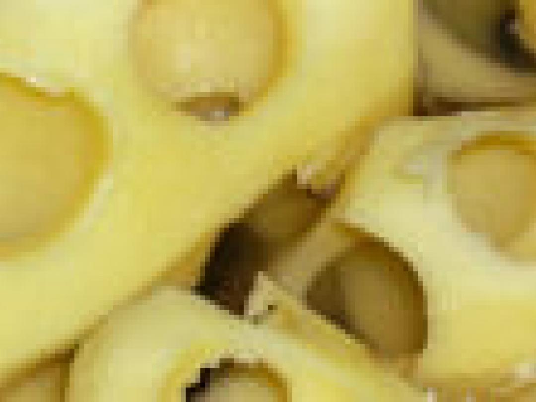 Risico darmperforatie verschilt flink per stent