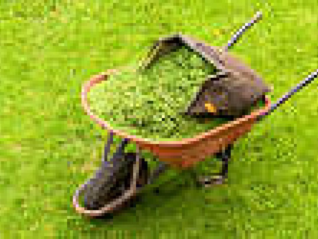 Ook laagintensieve activiteit beschermt tegen handicaps