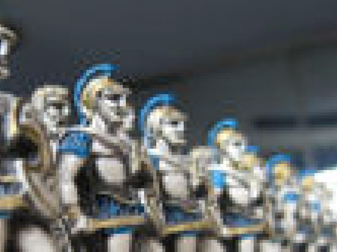 Opheldering over raadselachtig antilichaam IgD