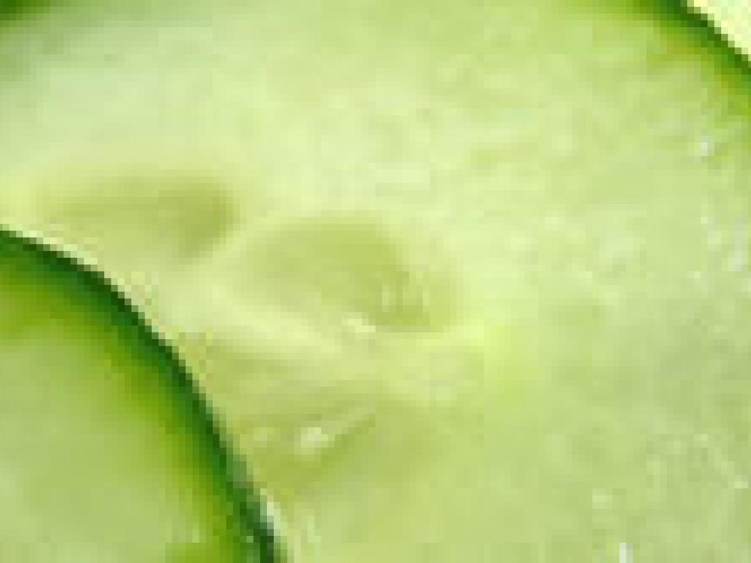 Niet hongeren bij een dieet