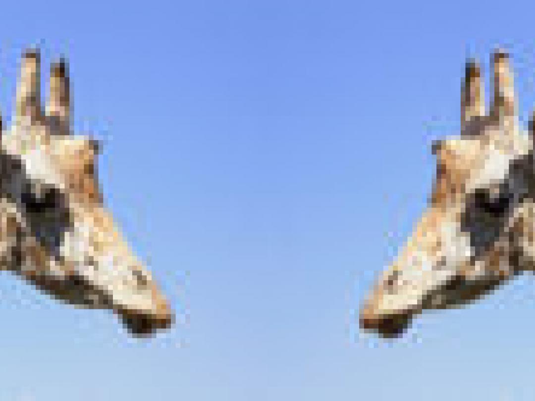 Skillslab voor behandeling dystonie