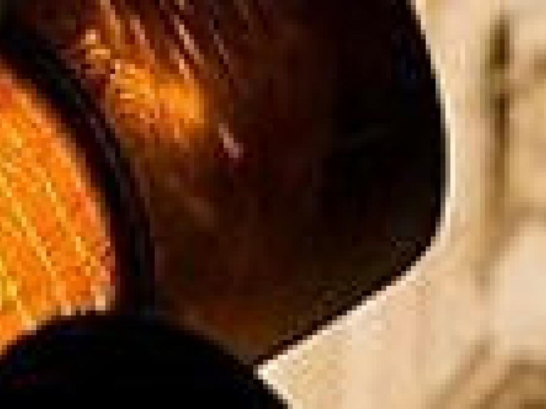 Interactiewaarschuwing te veel genegeerd