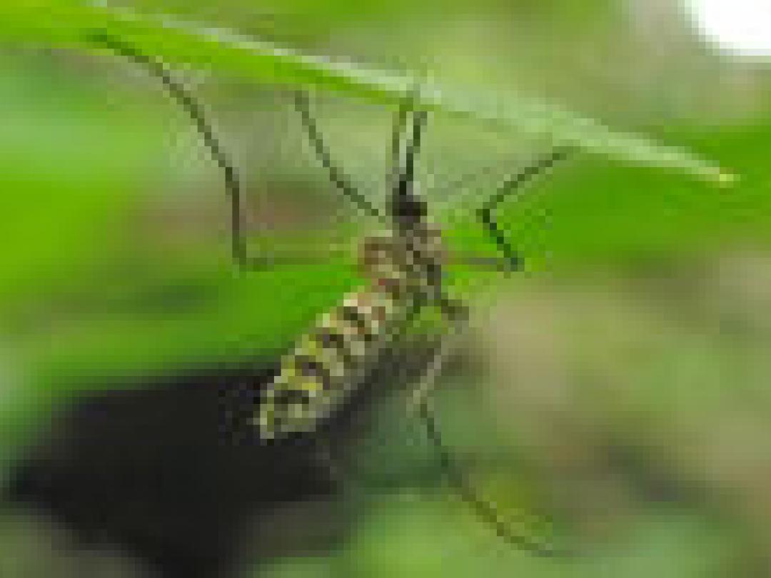 Medicijnfabrikanten negeren oproep WHO