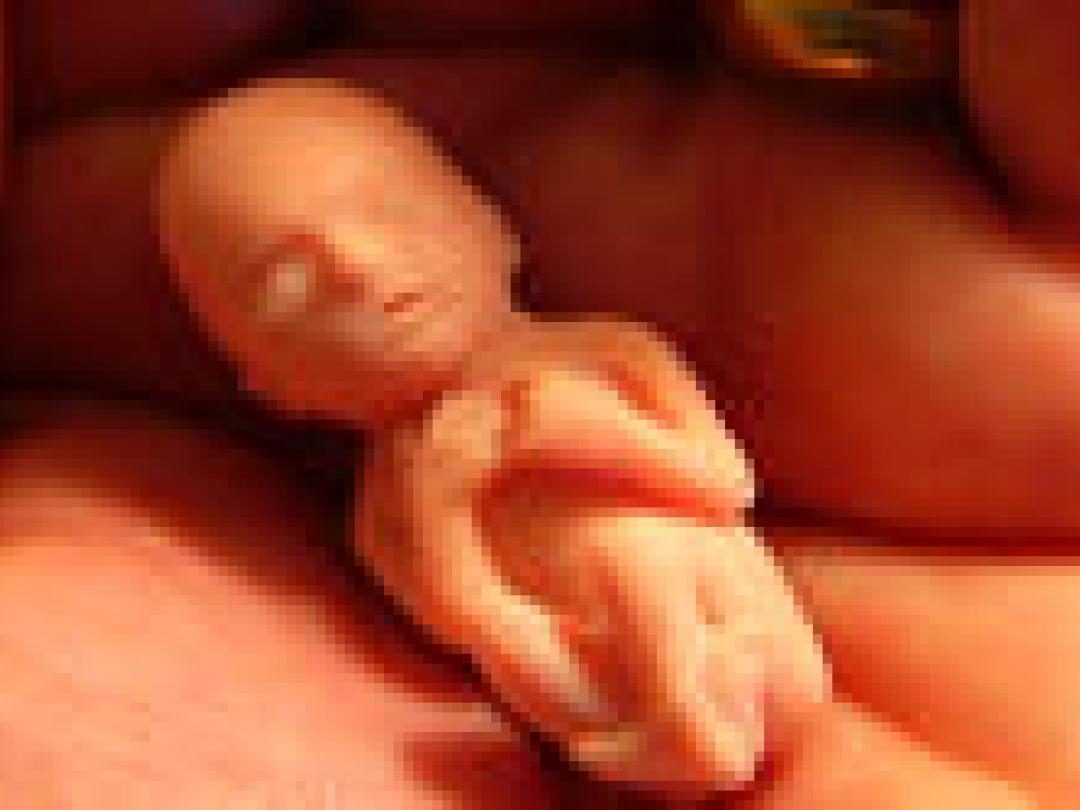 Wet verplicht duidelijkheid over abortus
