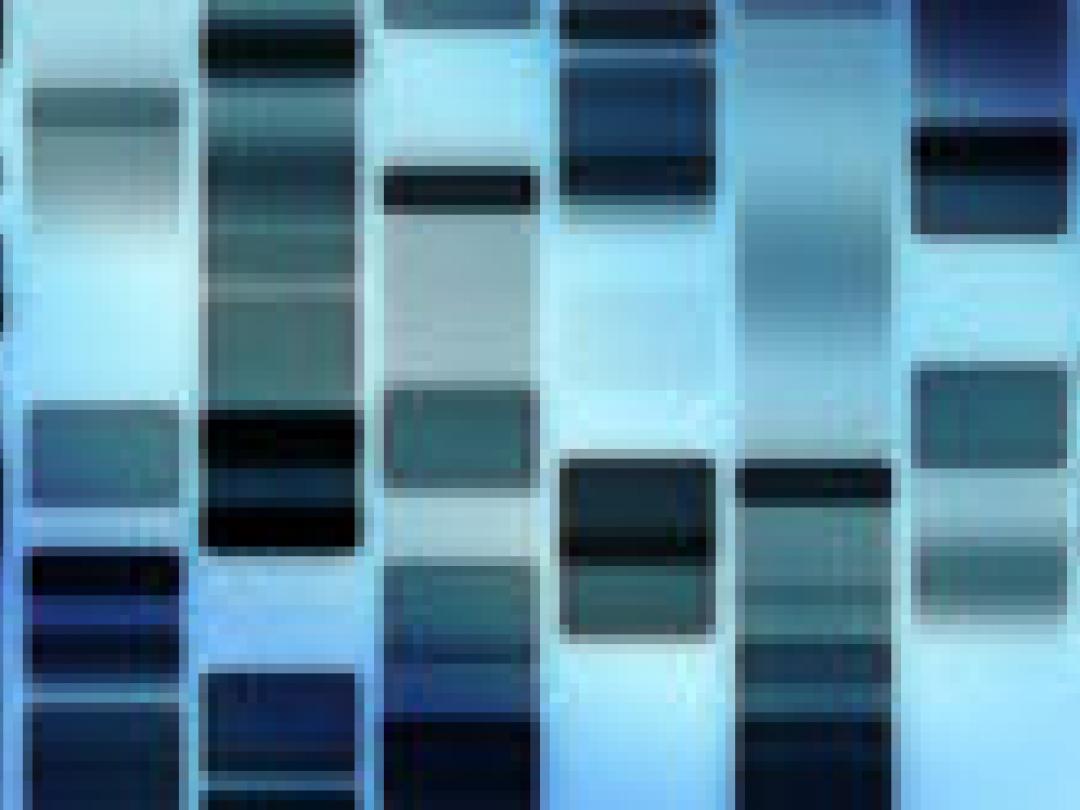 Baas over eigen genen