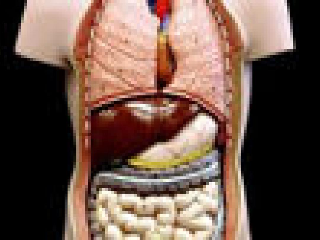 Richtlijn beleid na miltverwijdering gewenst