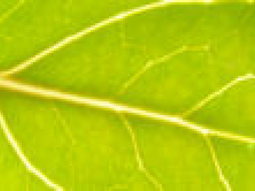 Prionen houden zenuwcellen gezond