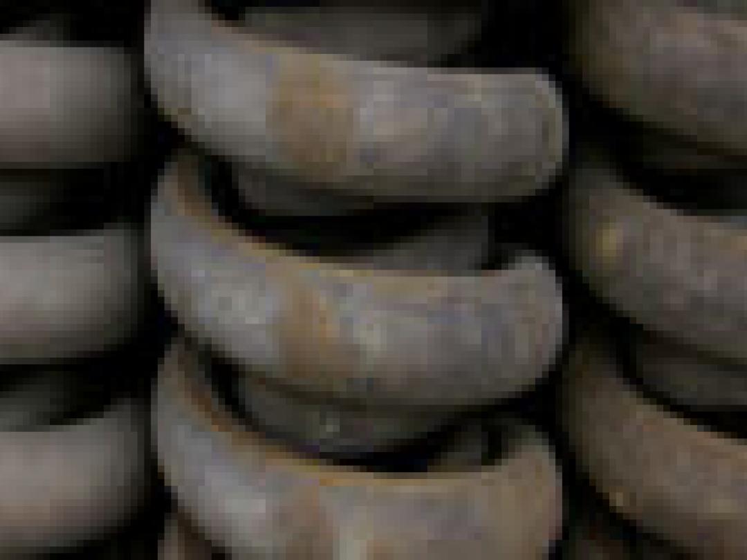 Nieuwe kunstvoet recyclet energie