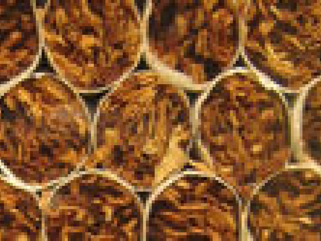 PLoS Medicine weigert studies van tabaksindustrie