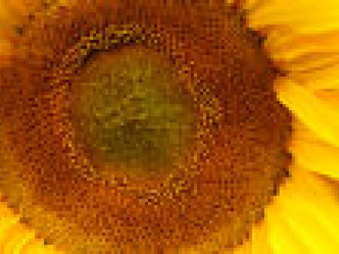 Overstap verzadigd naar onverzadigd vet reduceert aantal hartinfarcten