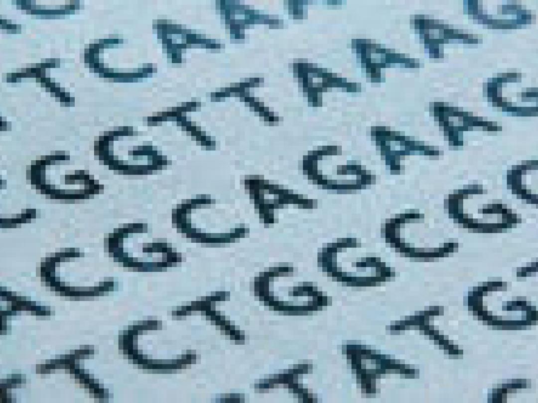 Genen zijn geen uitvinding en dus niet octrooieerbaar