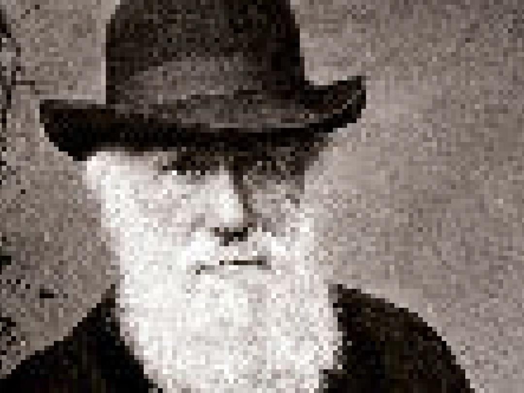 Darwin met recht bang voor inteelt