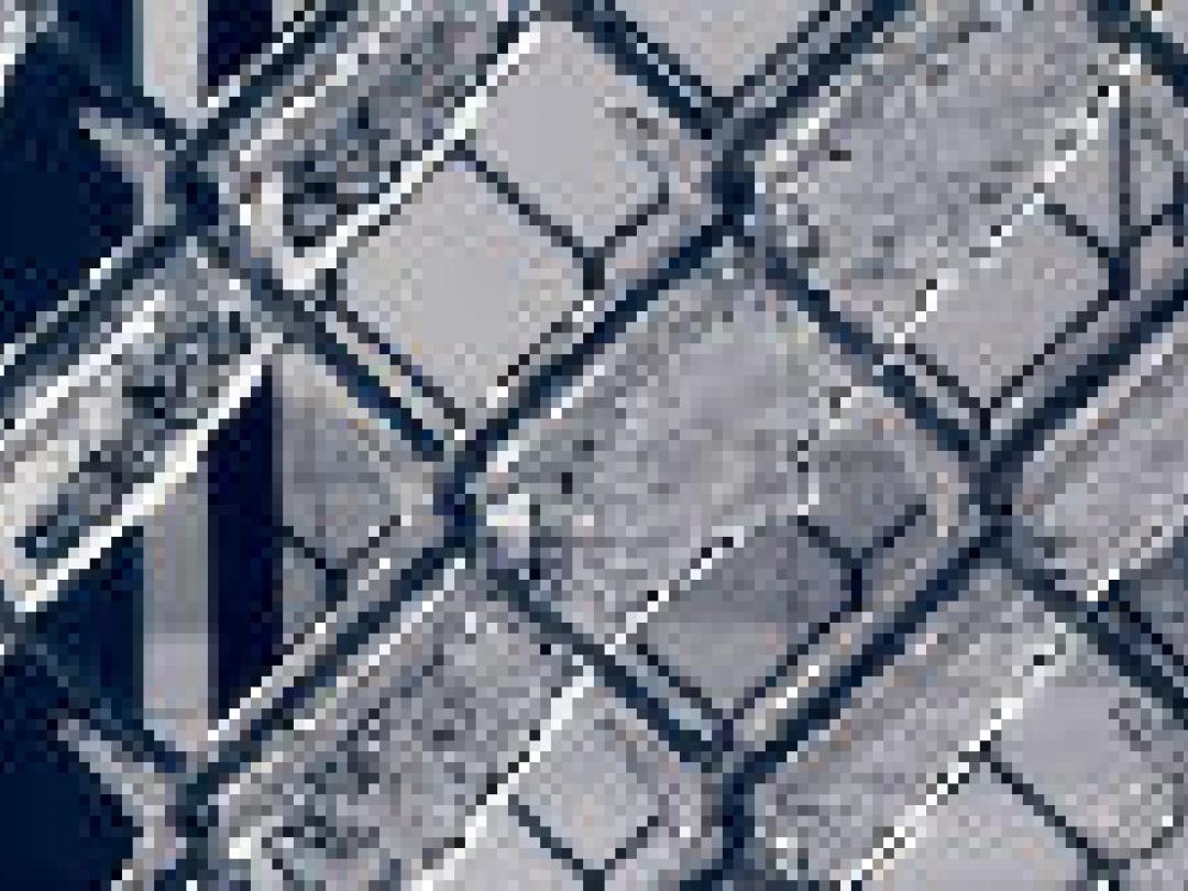 Jeugdgevangenen Marokkaanse komaf minder psychopathologie dan Nederlandse gevangenen