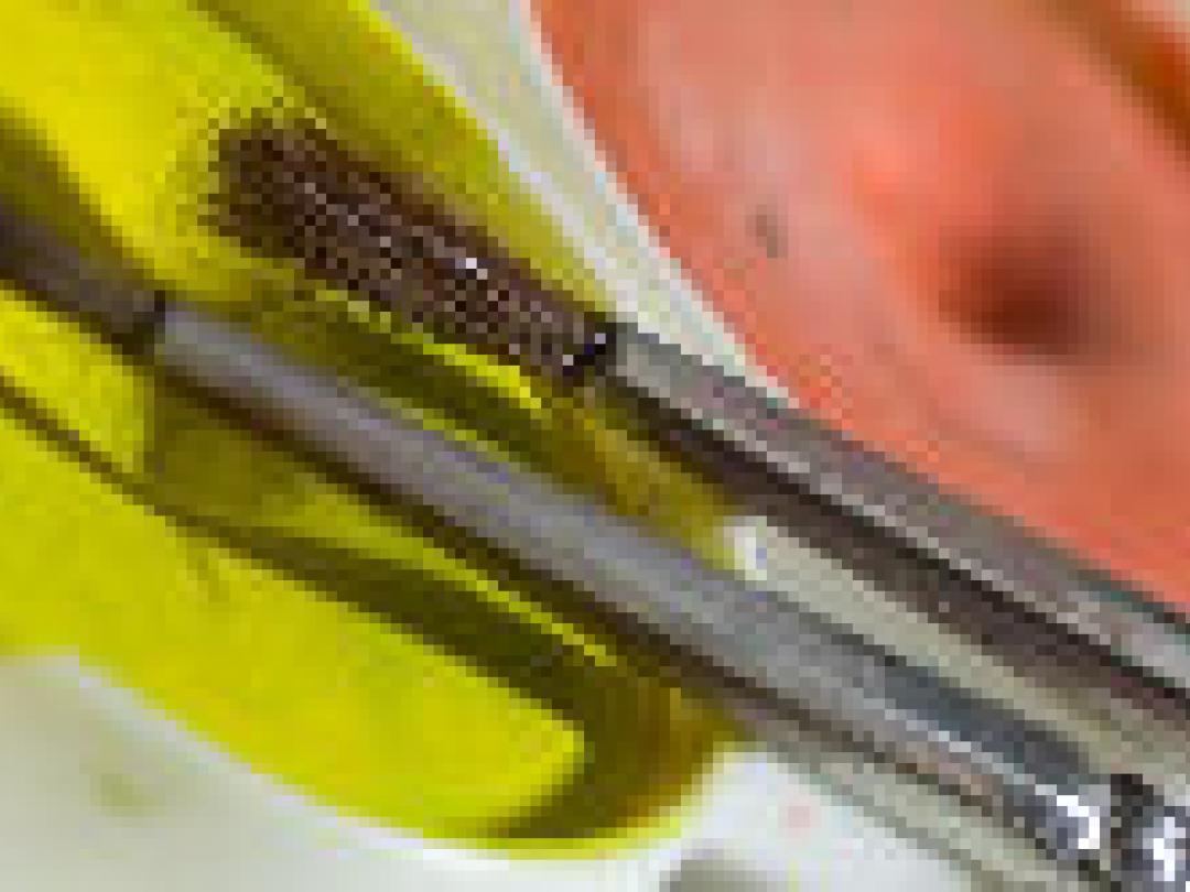 Schizofreen of creatief?