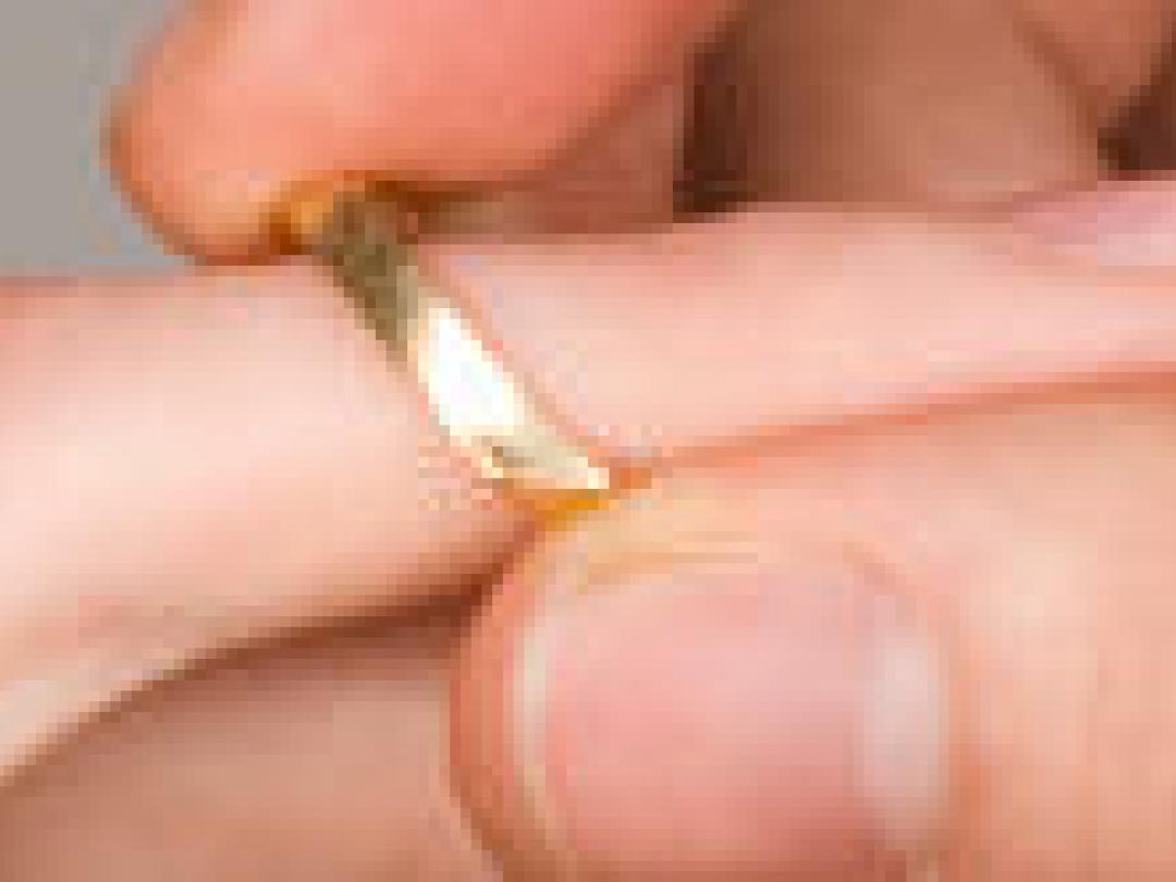 Chirurgische specialisatie afhankelijk van gezinssituatie