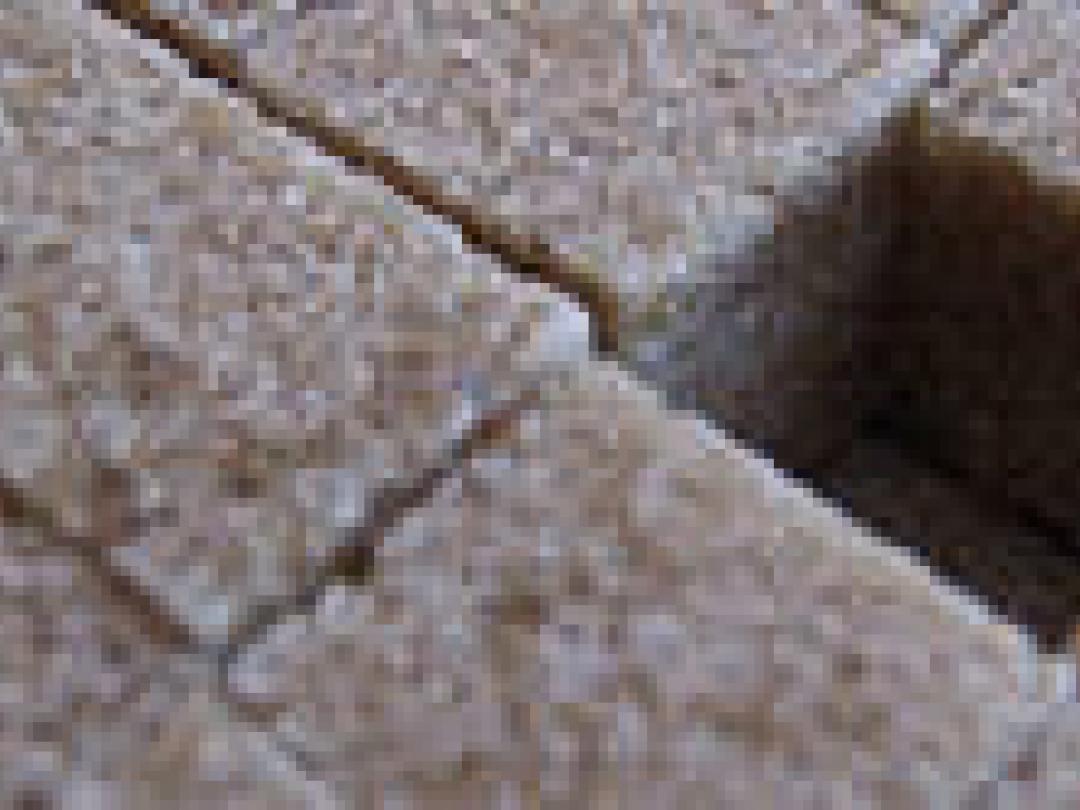 Diabetes mellitus type 2 en cognitief verval