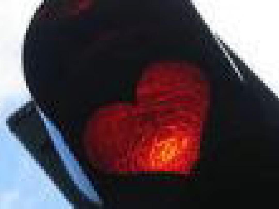 Dotteren, clopidogrel en acetylsalicylzuur: 1 trial, 2 conclusies