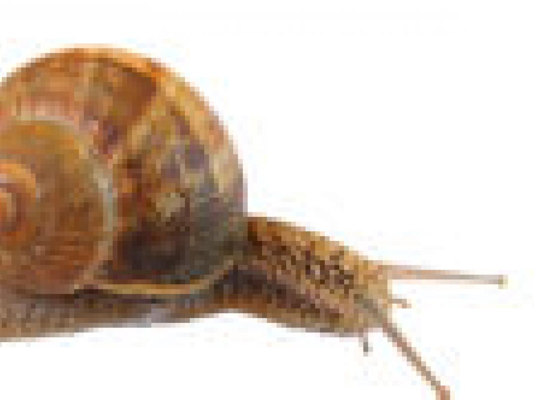 Liever geen tweede ronde ‘peer review’