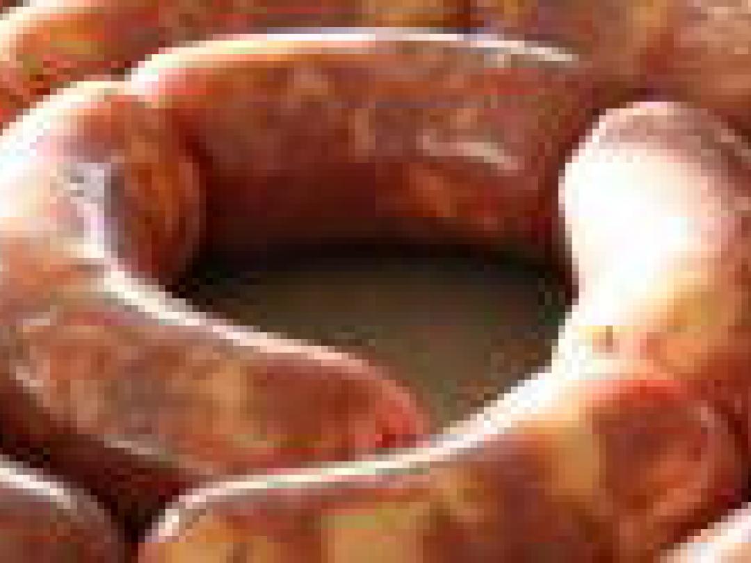 Koolhydraatarm dieet: dierlijk of plantaardig?