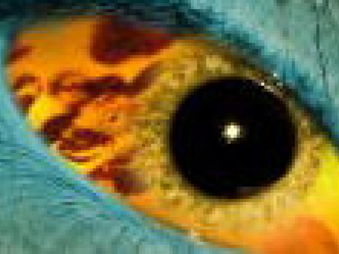 Blootstelling aan beelden van nachtmerrie effectief