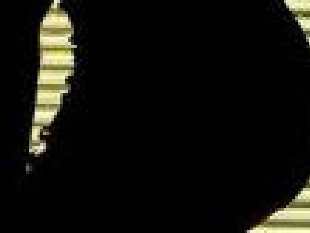 Metabolieten voorspellen pre-eclampsie