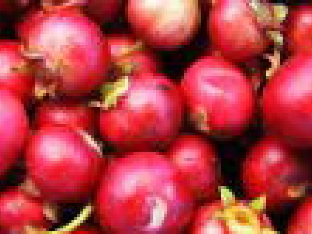 Cranberrysap voorkomt geen nieuwe UWI