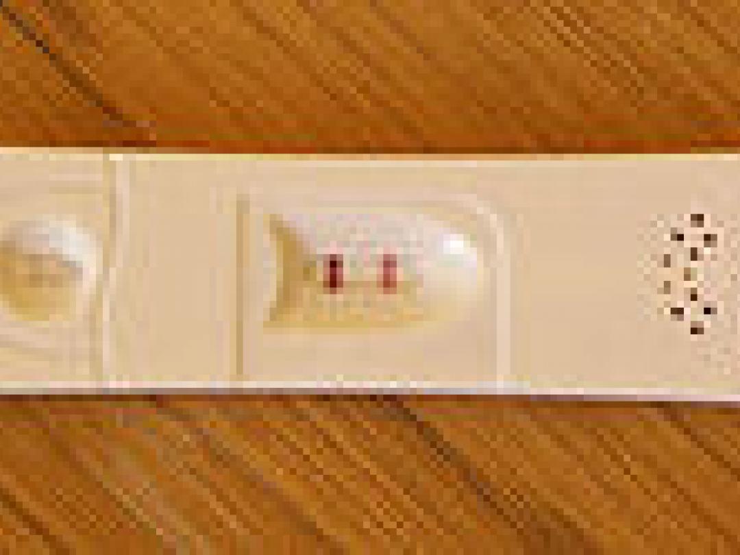 Nieuw voorspellingsmodel ivf