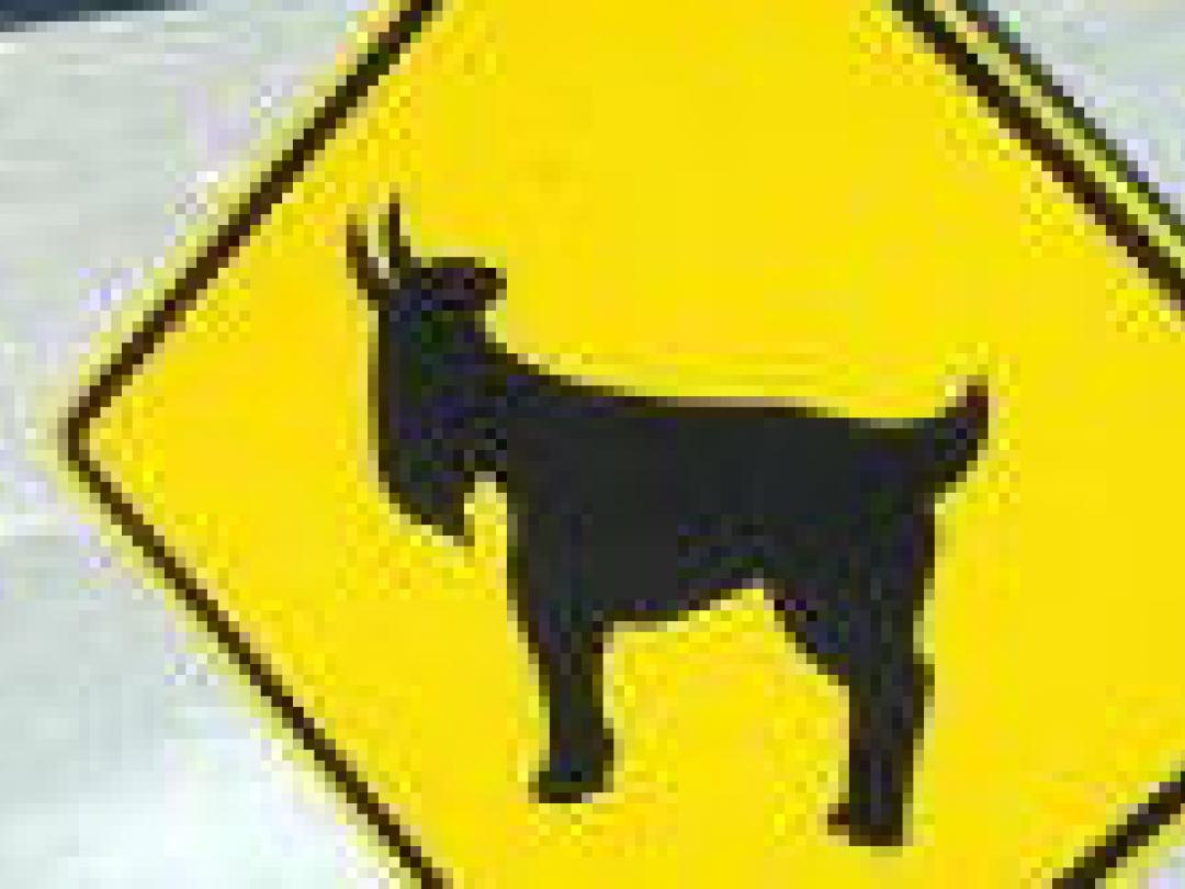 Literatuur Q-koorsvaccin beperkt