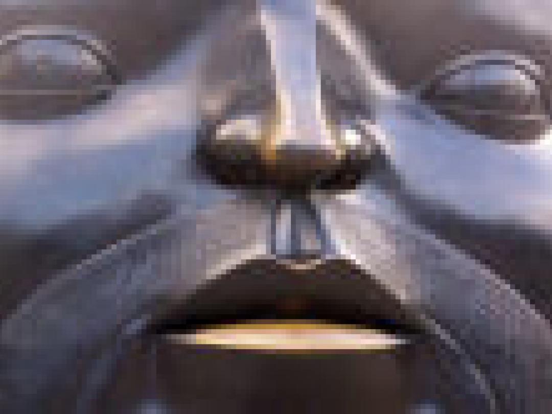 HAIO’s hopeloos over behandeling overgewicht