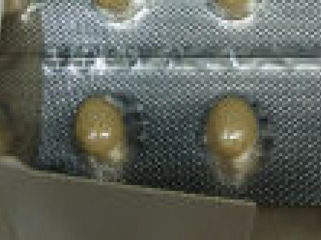 Sociaal wenselijk antwoorden vertroebelt zicht op foliumzuurinname