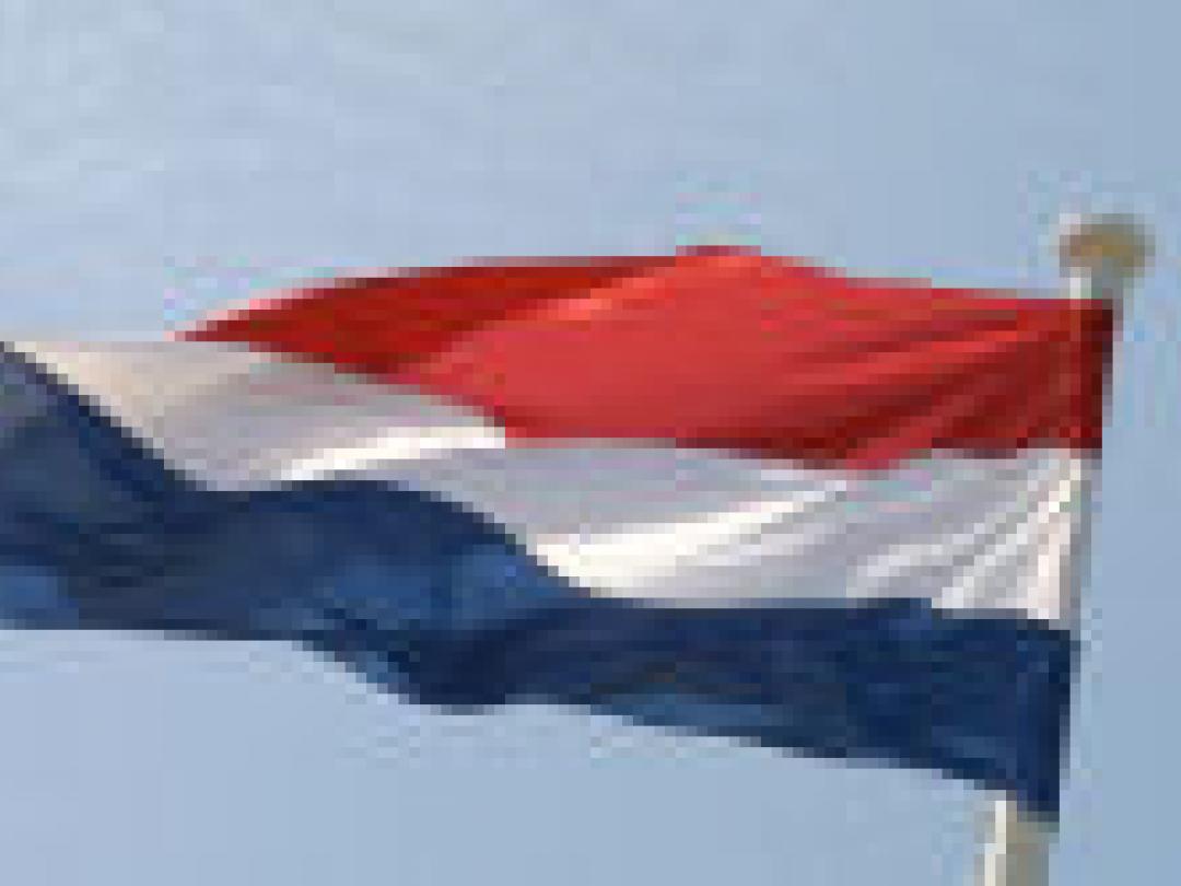 Nederlandse huisartsen in internationale top wat betreft wetenschappelijke output