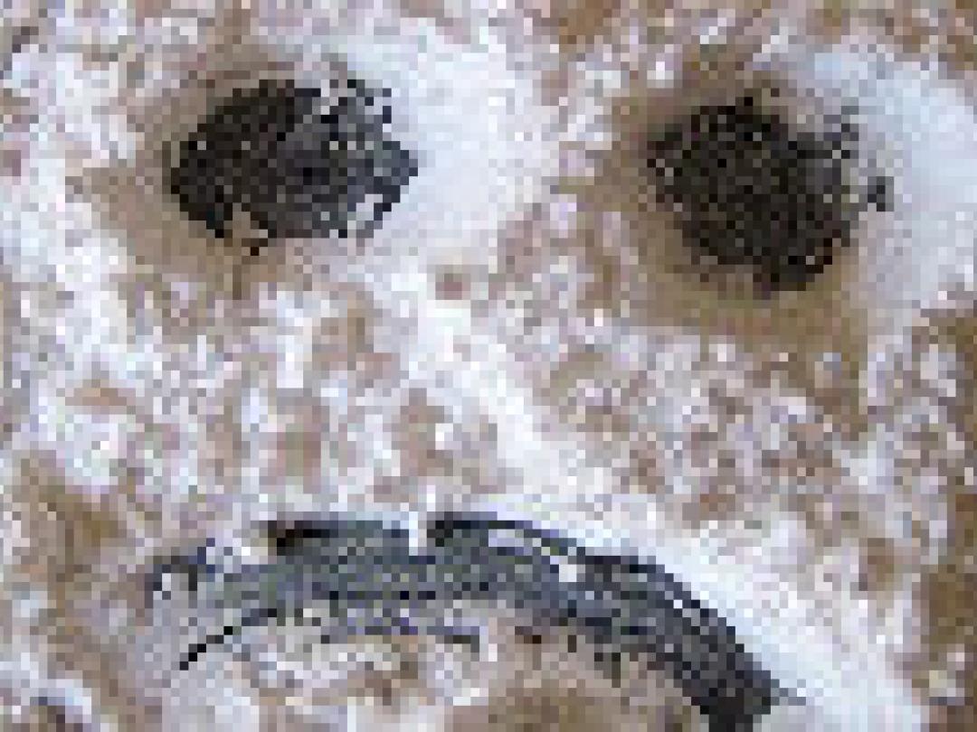 Agranulocytose door cocaïne met antiwormenmiddel ook mogelijk in Nederland