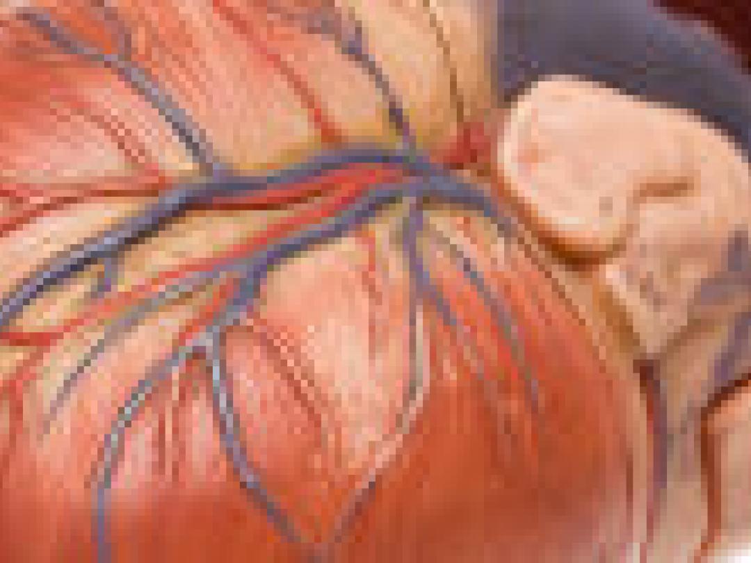 Veel variatie bij donatie na hartstilstand