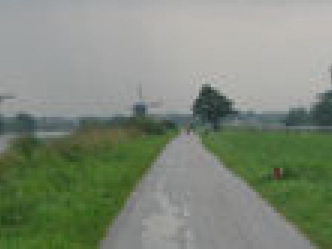 Hogere bloeddruk bij zwarte huid door lager vitamine D