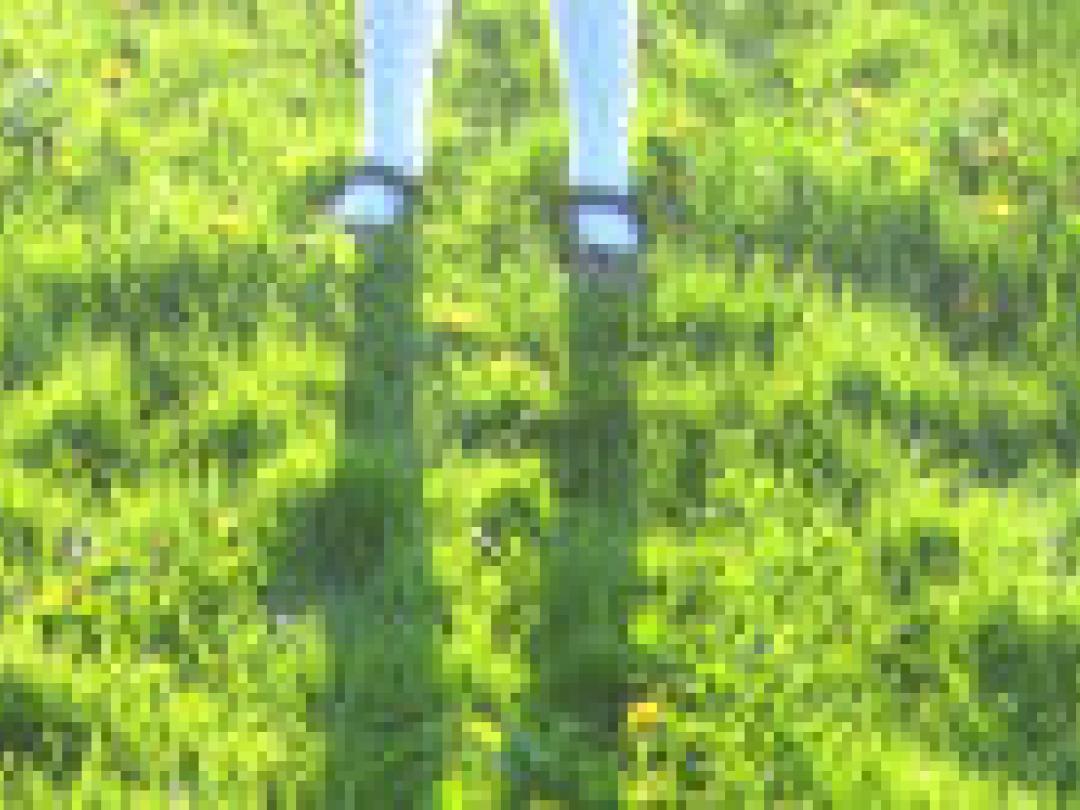 Hartstilstand buiten het ziekenhuis bij kinderen