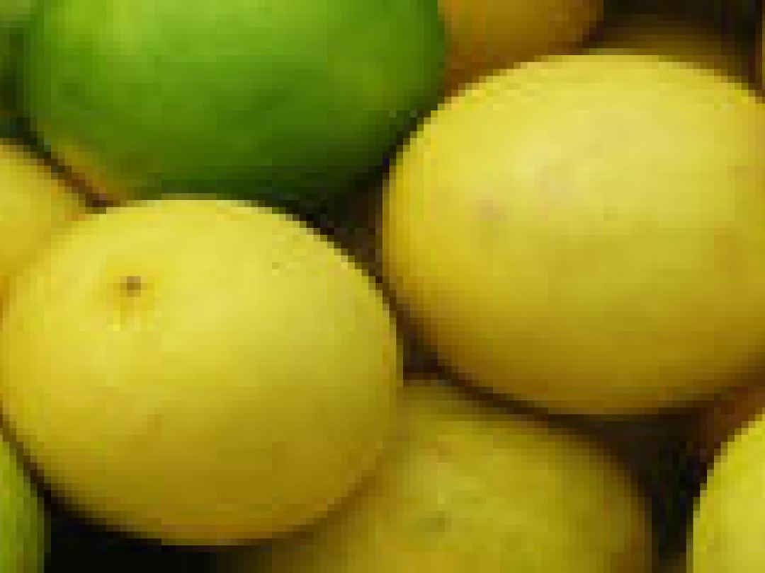 Huidige antirefluxbehandelingen effectief op lange termijn