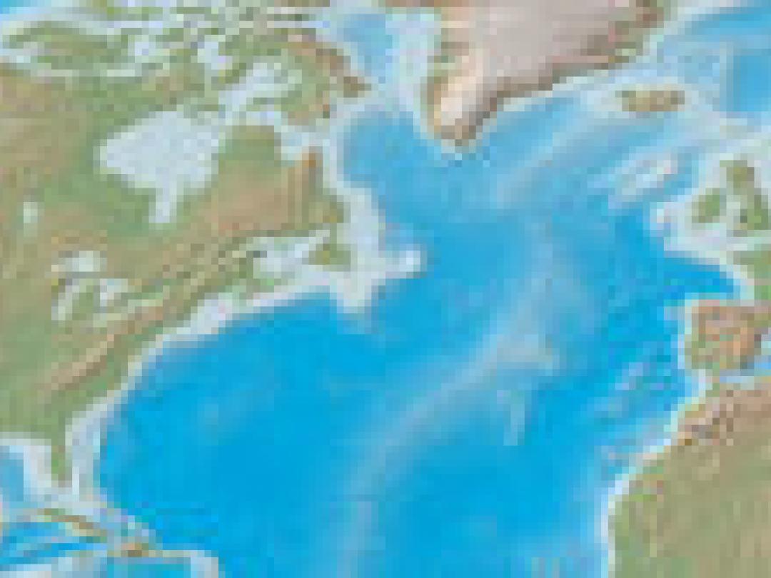 EMA en FDA beoordelen kankermedicatie vaak verschillend