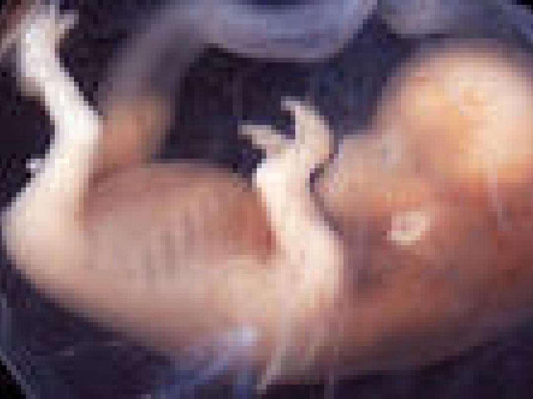 Effecten van pre-implantatiegenetische screening