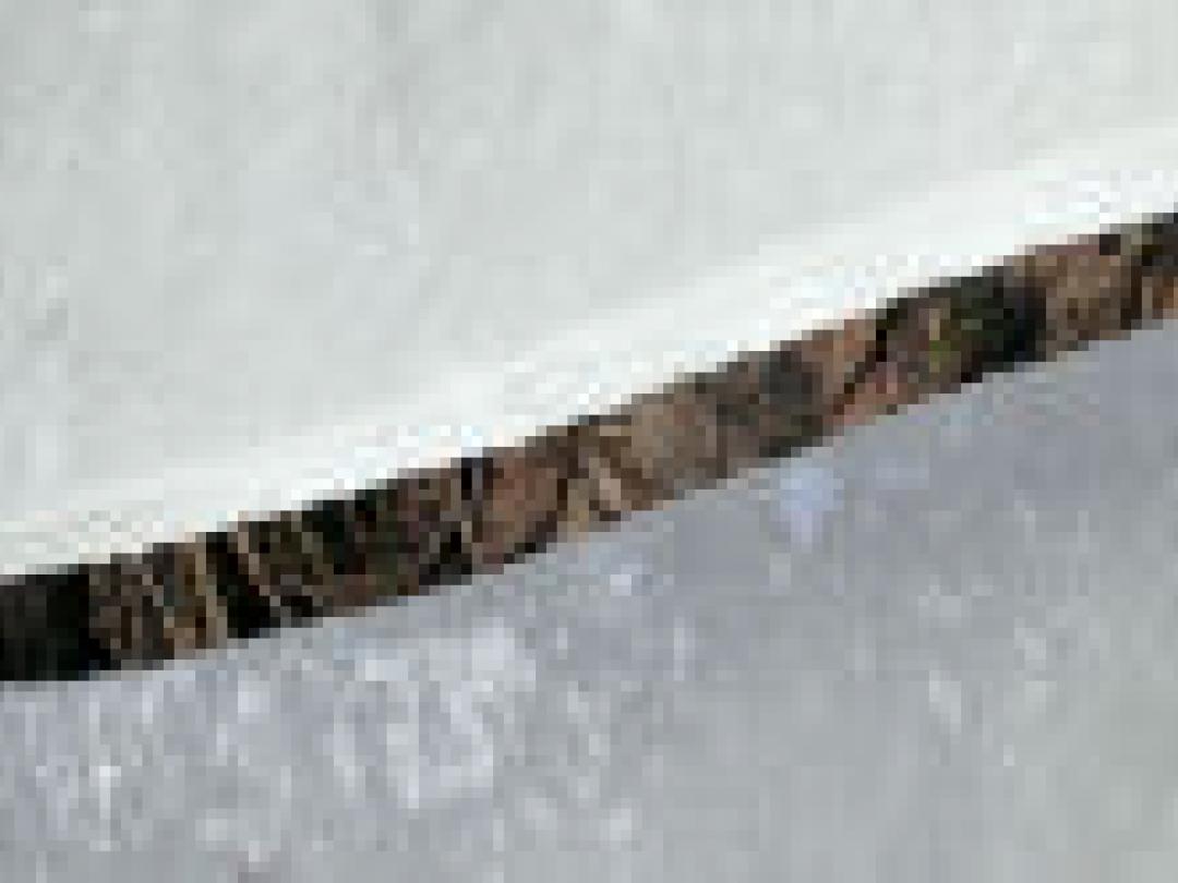 Kloof tussen wetenschap en leken