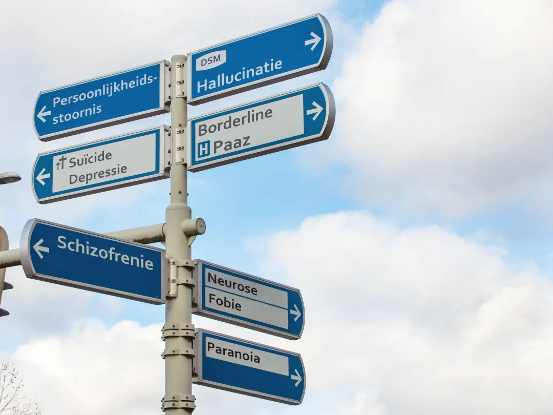 Een paal met richtingsborden in het verkeer. Op de borden staan woorden zoals 'persoonlijkheidsstoornis' en 'hallucinatie'. Ze wijzen verschillende kanten op.