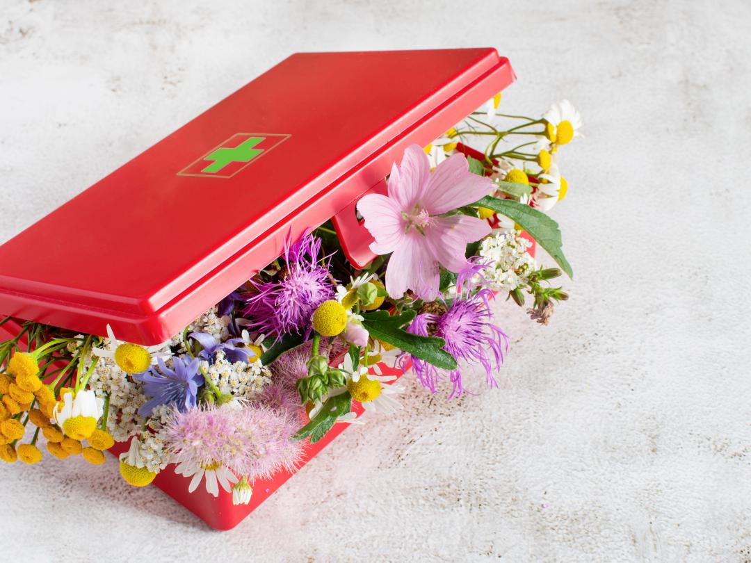 Een EHBO-doos gevuld met bloemen.