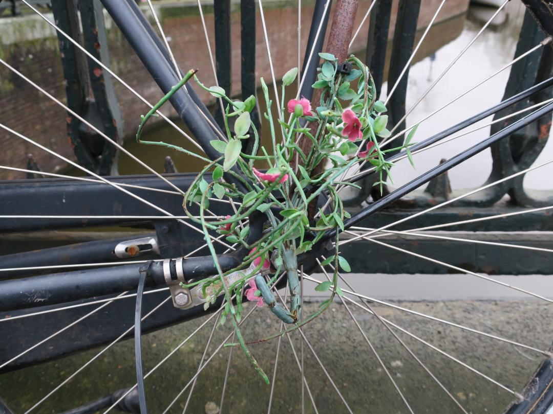 Plastic takken en bloemen zitten vast in de spaak van een fiets.