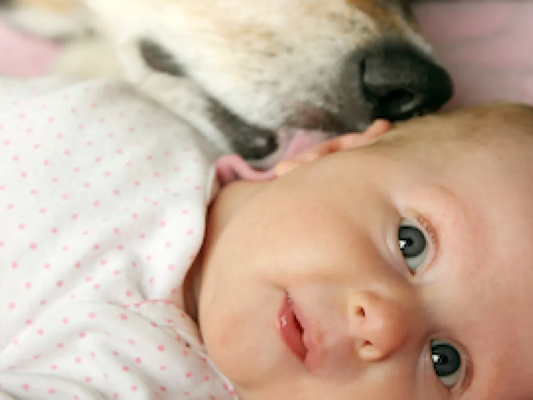 Een hond geeft een baby een lik.