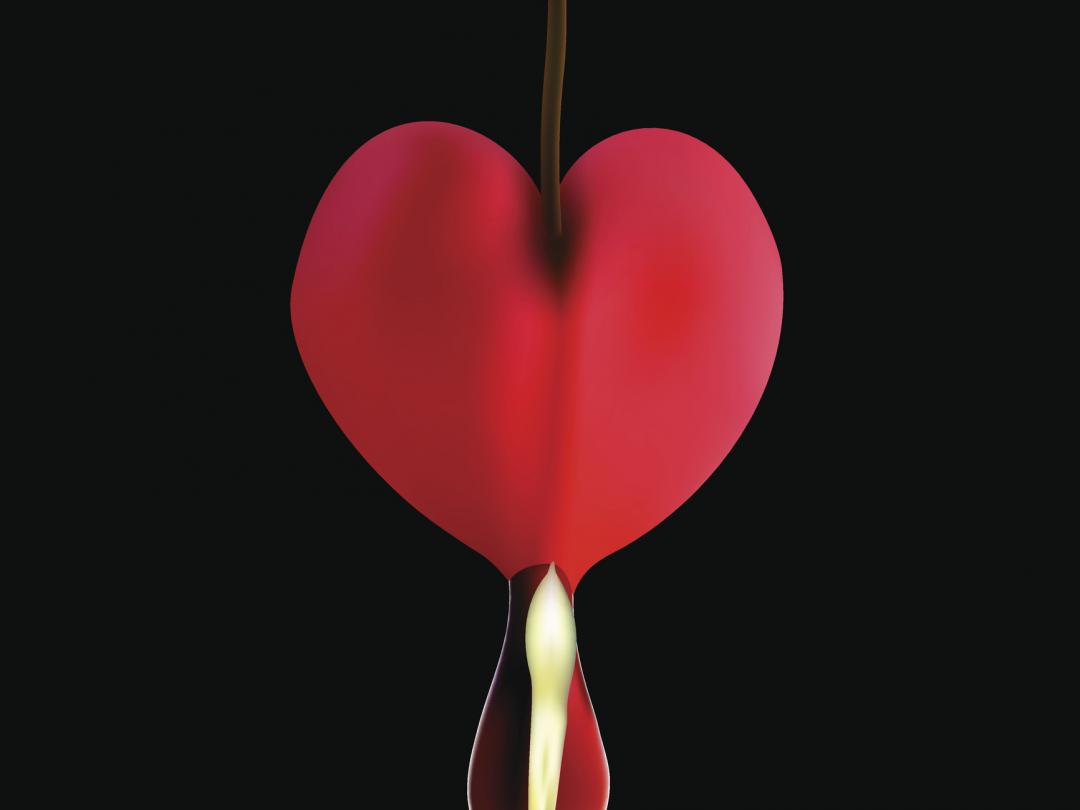 Digitale afbeelding van een hartvormig figuur.