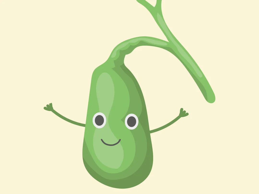 Illustratie van een groene galblaas met armpjes en een gezicht.