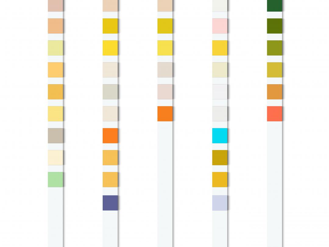 Vijf staafjes met verschillende kleuren.
