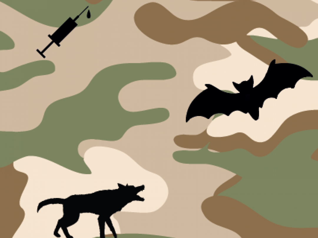 Silhouetten van een injectienaald, een vleermuis en een blaffende hond tegen een achtergrond van camouflagekleuren.