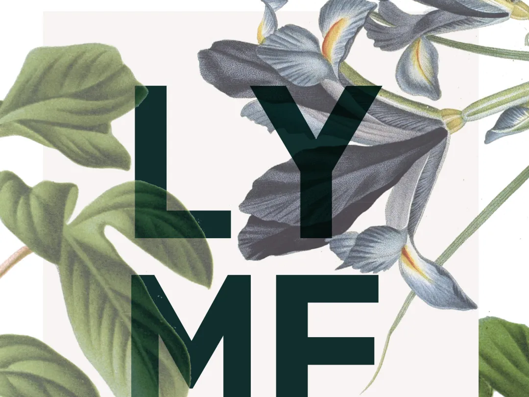 Cover van het proefschrift "Lymeziekte: Ontwikkelingen in diagnostiek en klinische aspecten."
