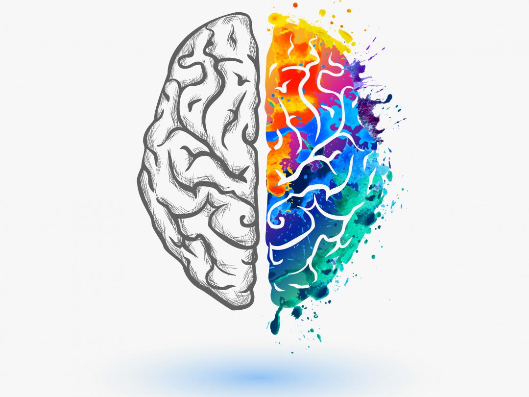 Twee hersenhelften
