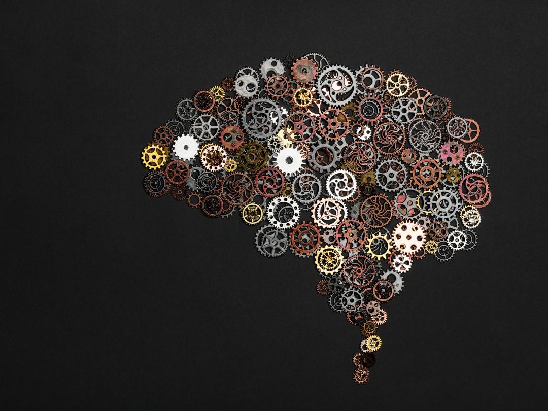 Hersenen gevormd uit radartjes